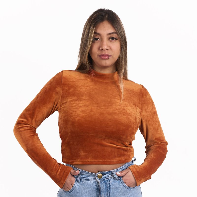15533183.jpg